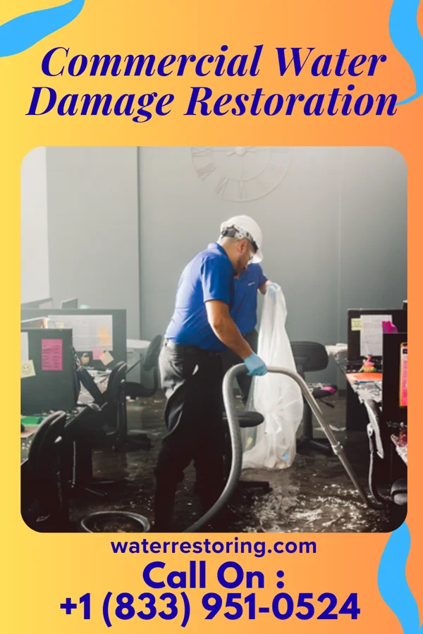 Commercial Water Damage Restoration in Big Coppitt Key, FL