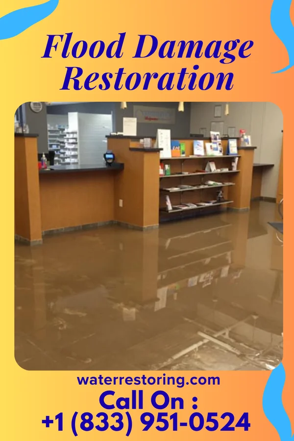 Flood Damage Restoration in Big Coppitt Key, FL
