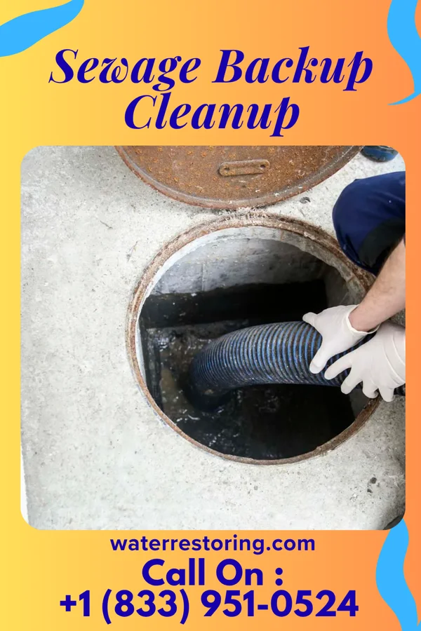 Sewage Backup Cleanup in Big Coppitt Key, FL